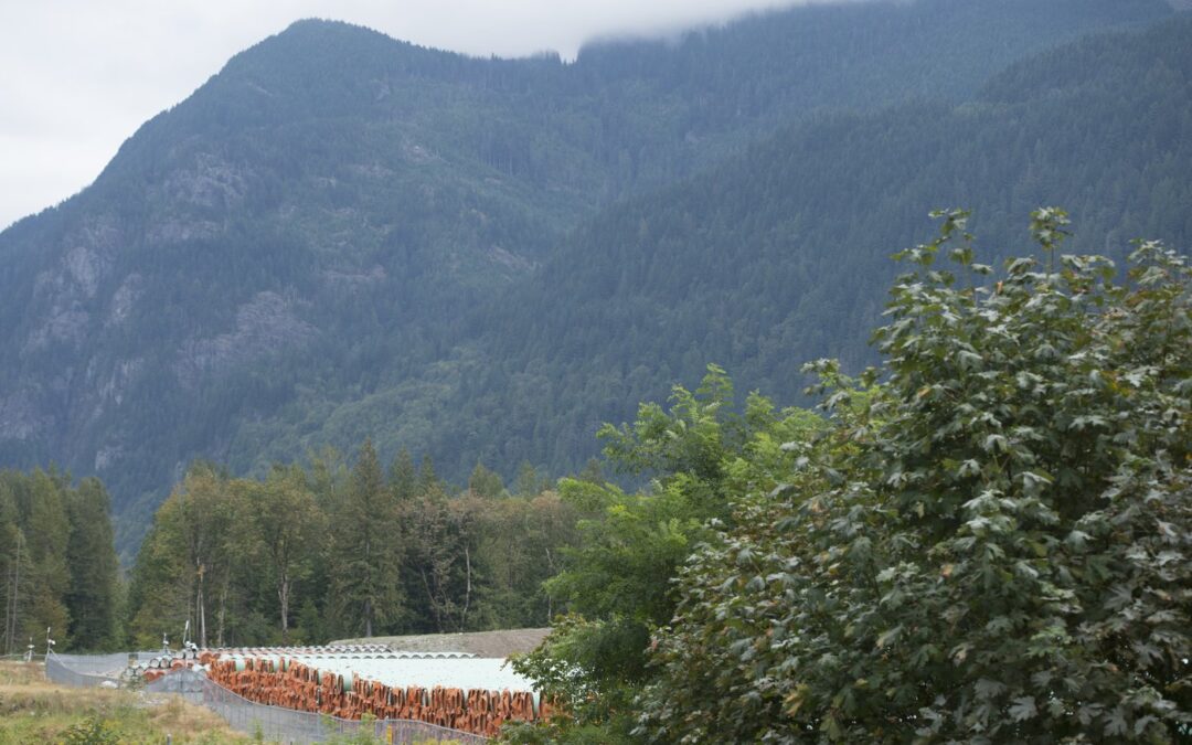 Indigenous groups still aim to buy Trans Mountain pipeline, even as costs soar
