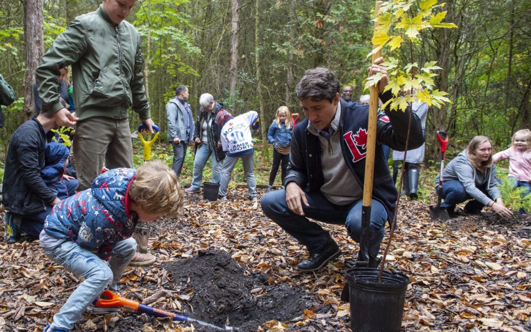 Guilbeault touts coming green bond, as experts stress need to choose projects wisely