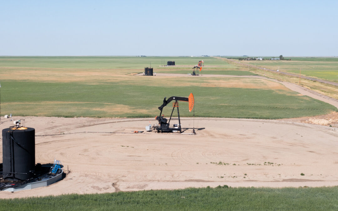 Saskatchewan sees best Crown land sale since December, 2018, with $19.3 million in bonus coming in