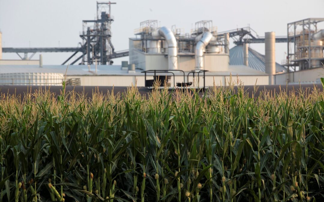 EPA raises amount of ethanol that must be blended with gas