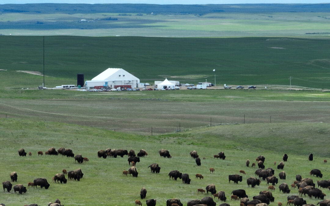 North American Helium brings former Weil Helium facility at Mankota back on production
