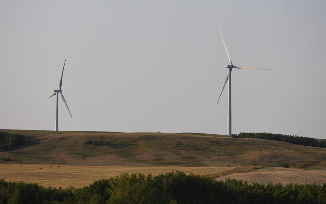 What do you get when you divide 41 by 10,000? The fraction of Alberta’s wind power generation capacity put out on Saturday, March 11