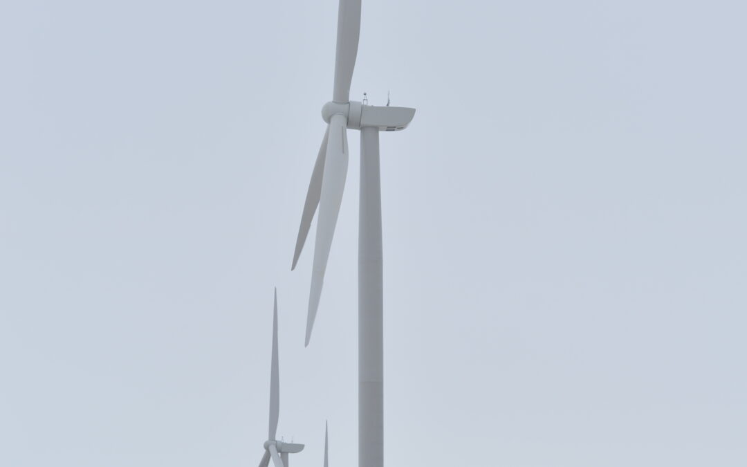 For four days in a row, Saskatchewan gets next to no power from wind turbines. Two days saw negative power production