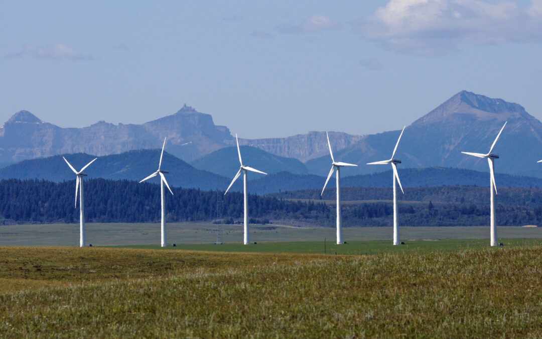 Wind power in Alberta falls to 0.8% three days after province pumps brakes on wind and solar development