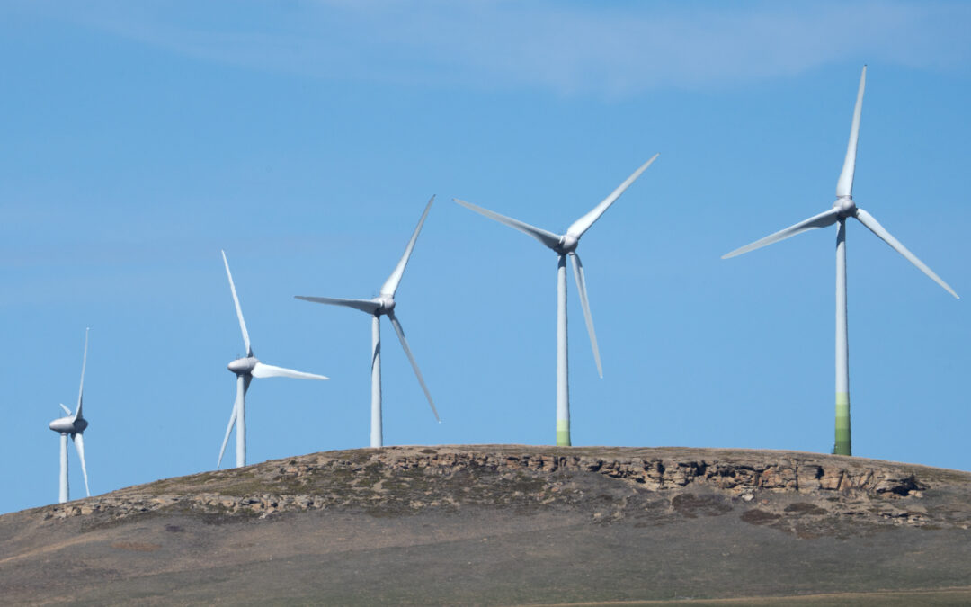 Thursday night, Alberta’s wind and solar generation fell to 1.5% capacity