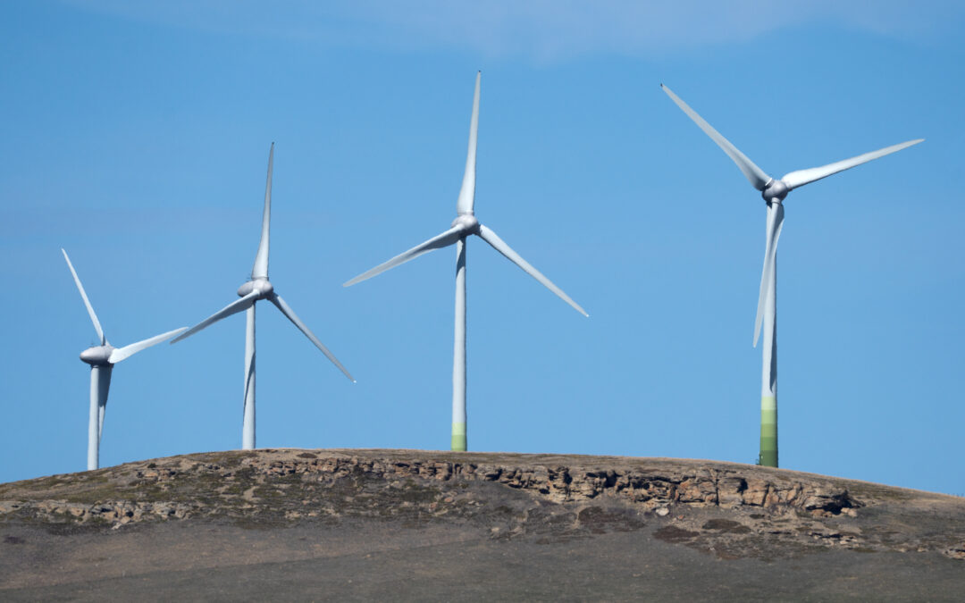 Loblaw strikes deal with TC Energy to power all Alberta operations with renewables