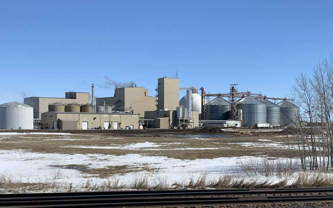 Yorkton’s Louis Dreyfus canola crushing plant to double in size, driven by the Clean Fuel Standard Saskatchewan’s government opposes