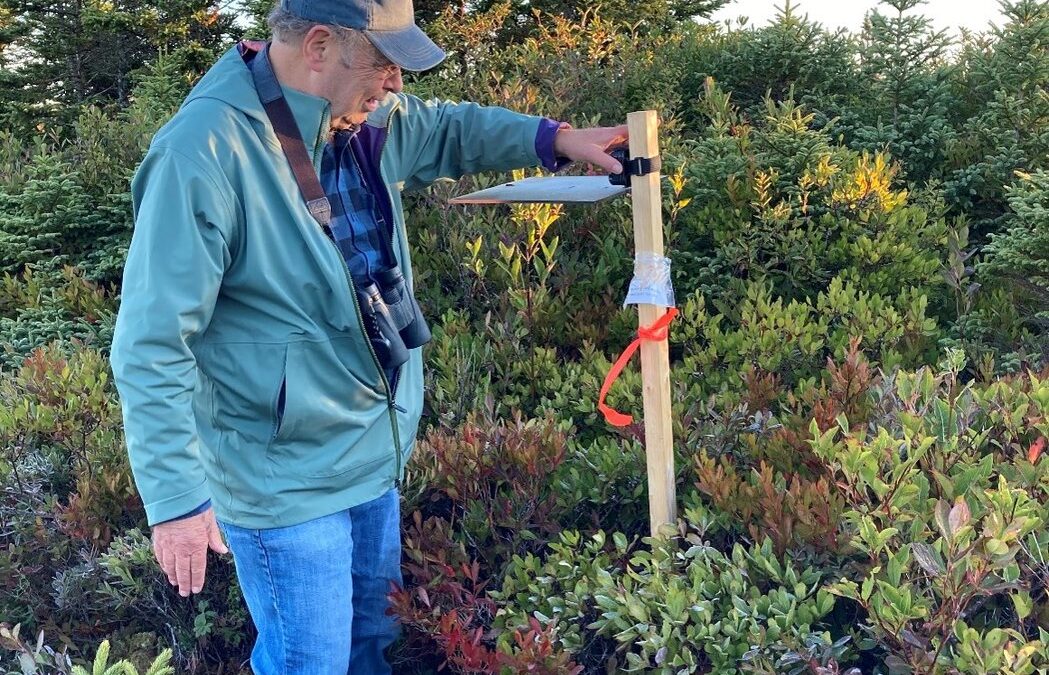 Former consultant to wind industry warns of turbines’ toll on migrant birds in Nova Scotia