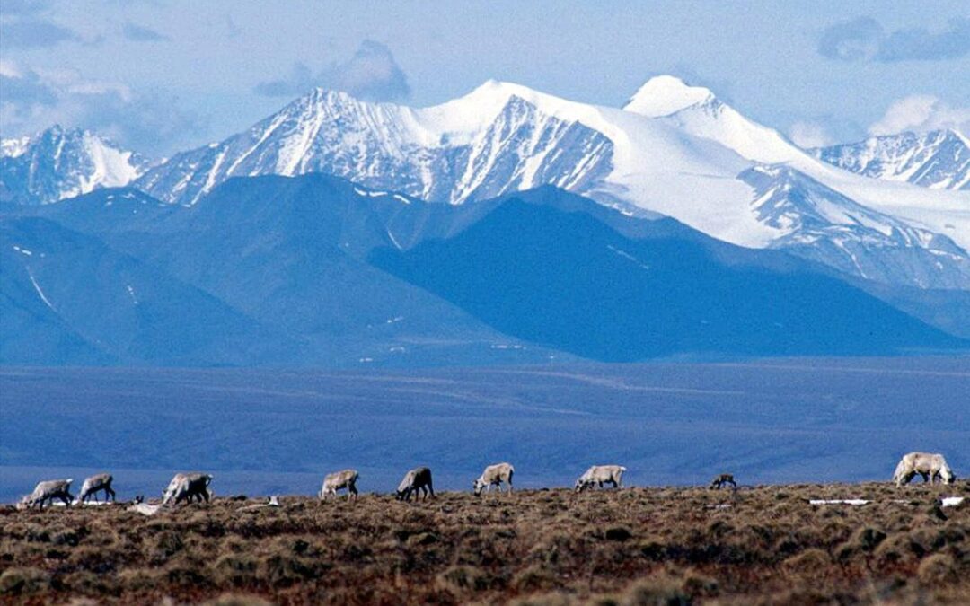 Biden administration cancels remaining oil and gas leases in Alaska’s Arctic Refuge