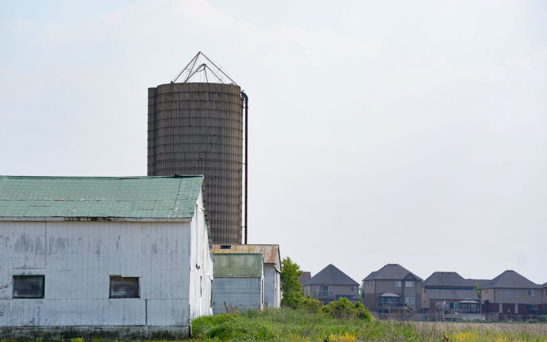 Conservative motion seeks support to order senators to pass carbon pricing bill