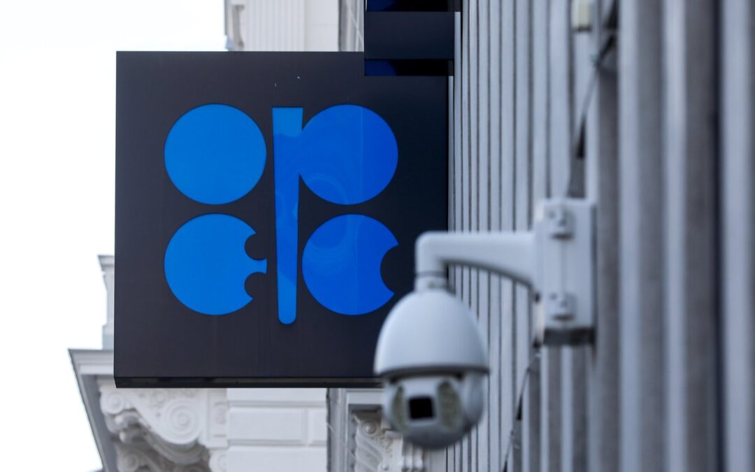 Some OPEC+ members will cut the oil that they send to the world to try to boost prices