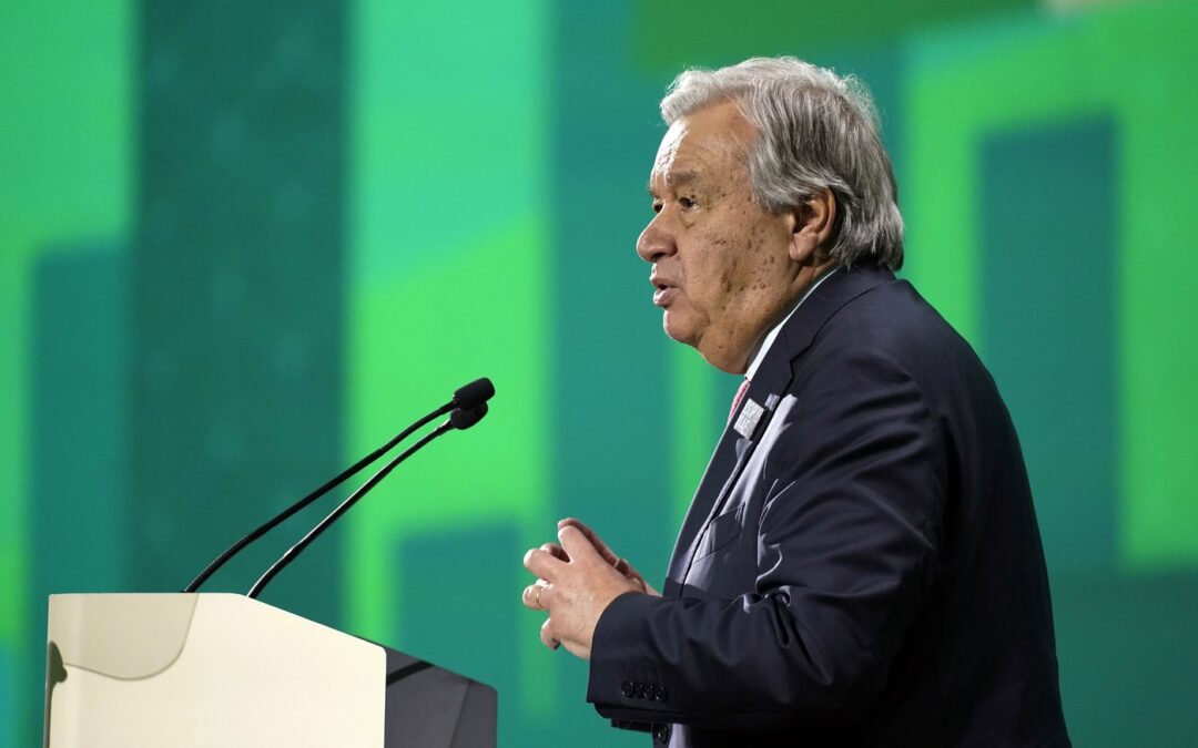 Takeaways from Friday’s events at UN climate conference known as COP28