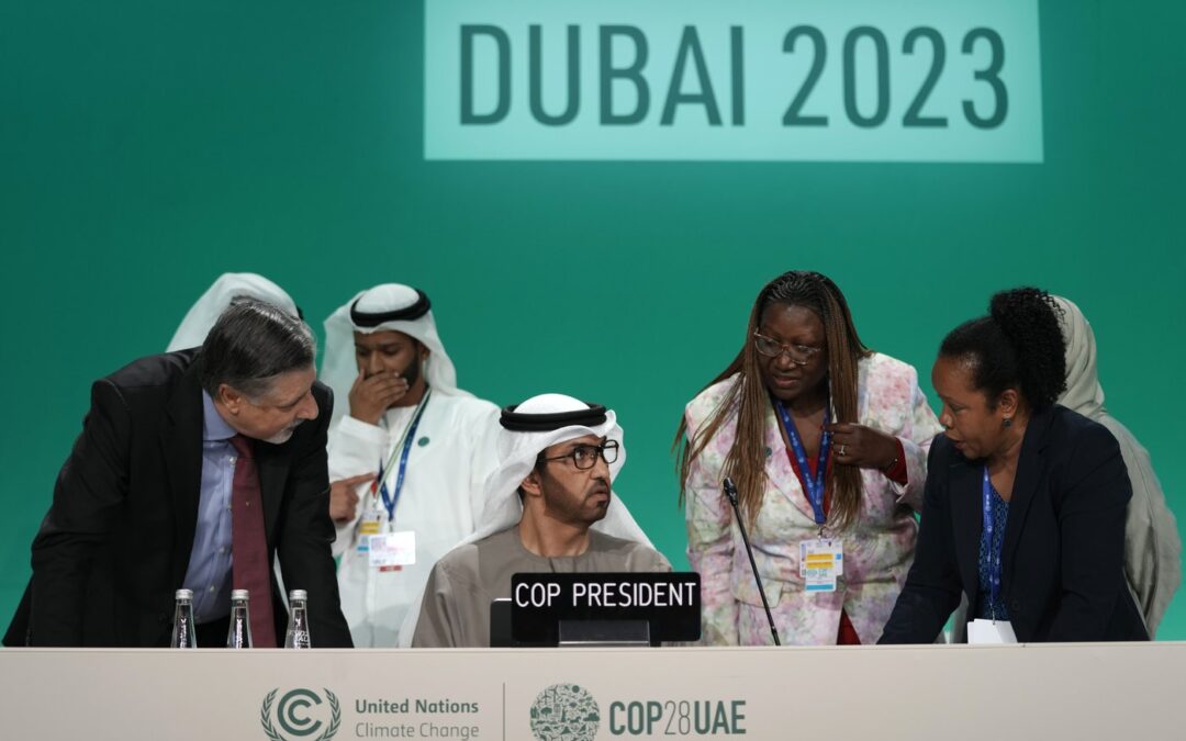 Observers see OPEC ‘panicking’ as COP28 climate talks focus on possible fossil fuel phase-out