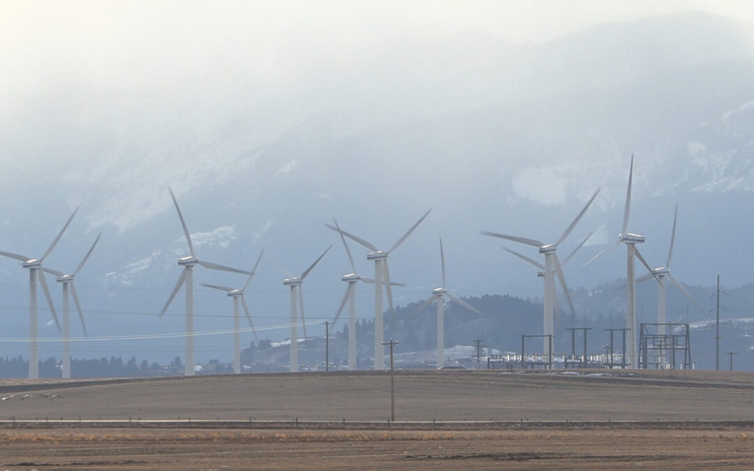 TransAlta cancels wind power project over new government rules on development