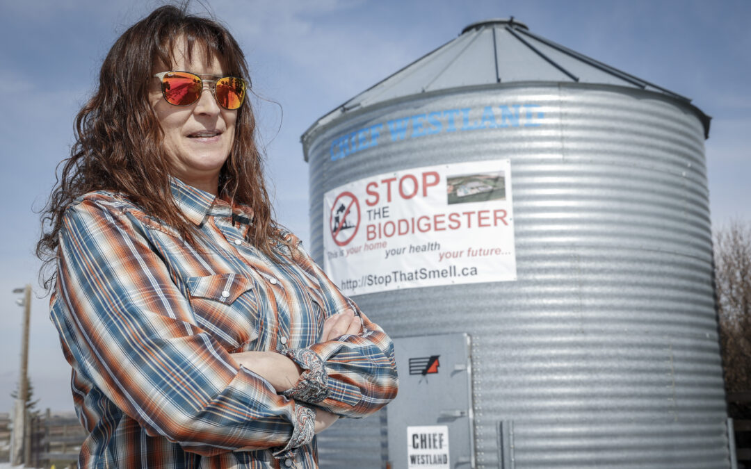 Increasing renewable energy to create more conflicts between environmental values