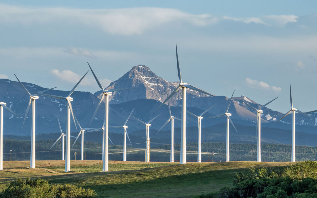 Alberta releases new rules and no-go zones on wind and solar projects