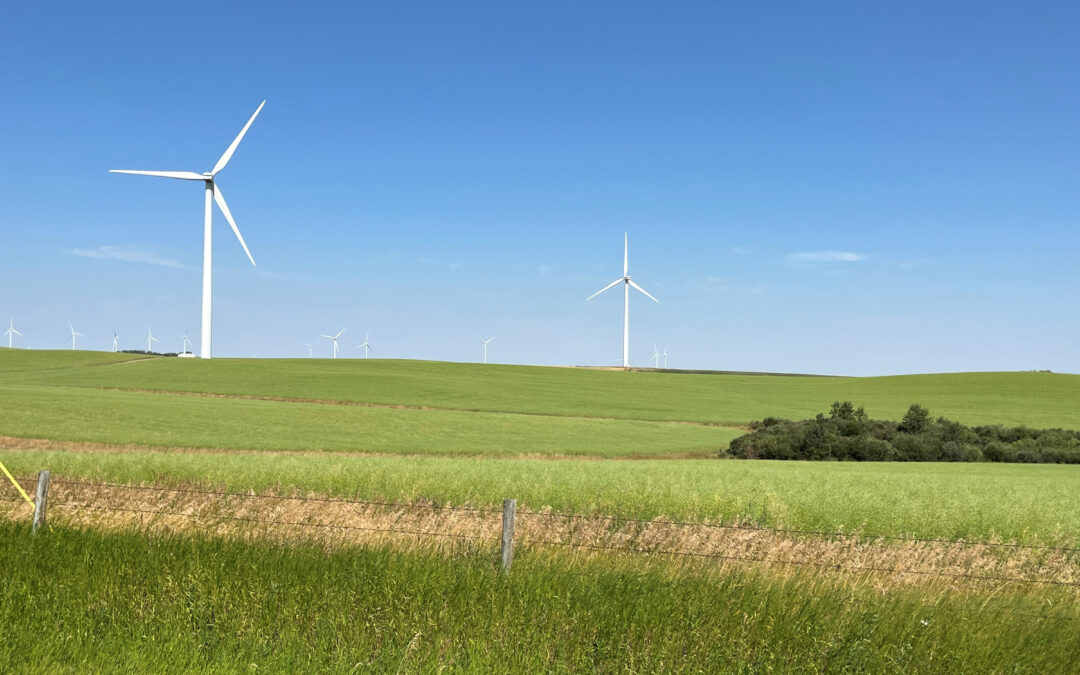 Alberta wind output yet again fell to 0.1 per cent capacity at noon on Sept. 11