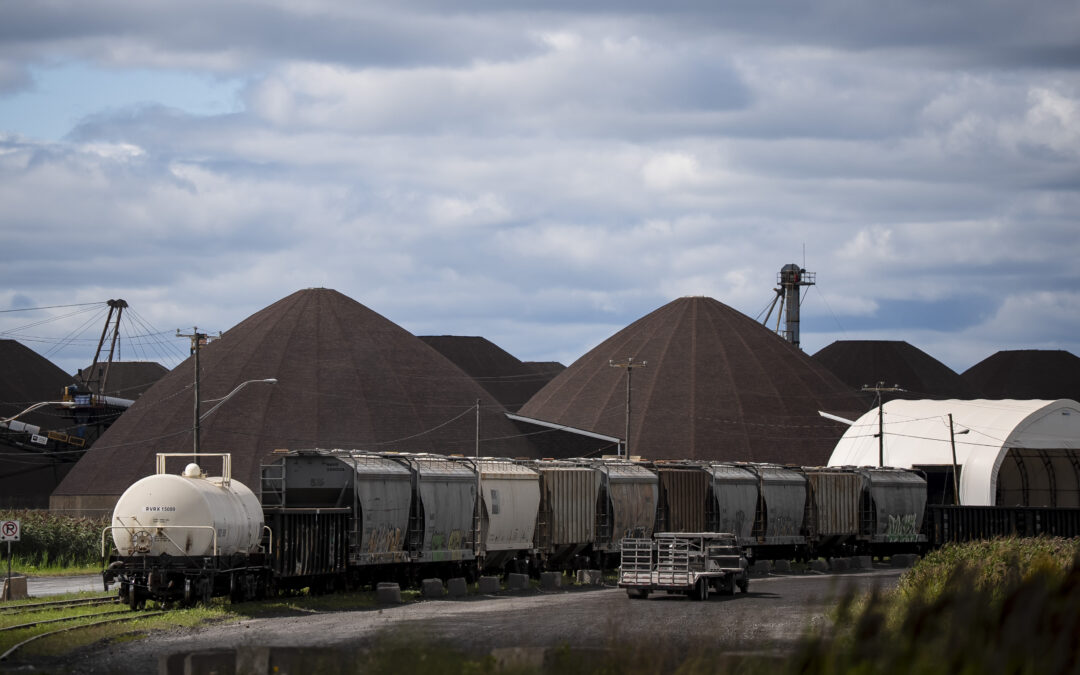 Former Trans Mountain CEO to head major projects office