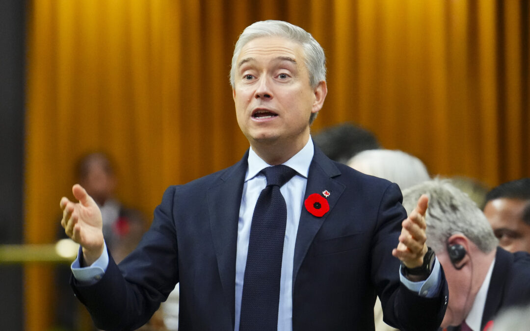 Finance minister says critical minerals refining is the ‘name of the game’