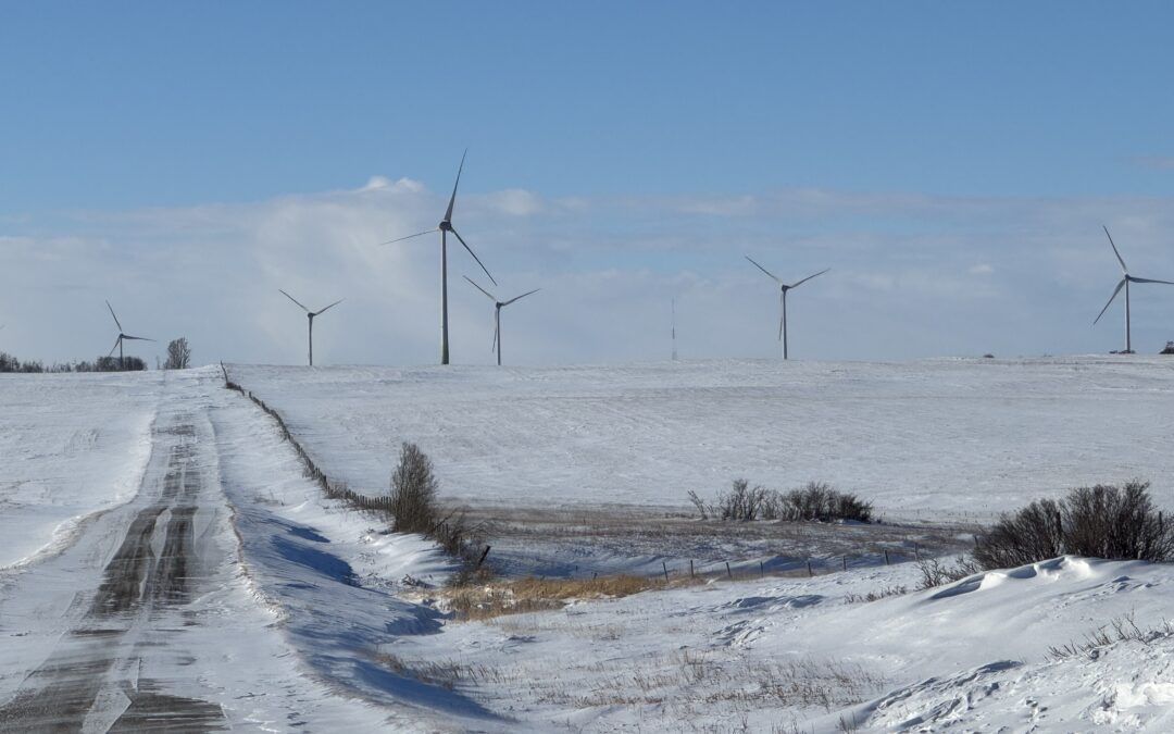High wind output in Saskatchewan and Alberta, with zero dollar pricing in Wild Rose Country